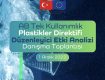 TGDF Tek  Kullanımlık  Plastikler  Düzenleyici  Etki  Analizi Danışma  Toplantısı’na Katıldı