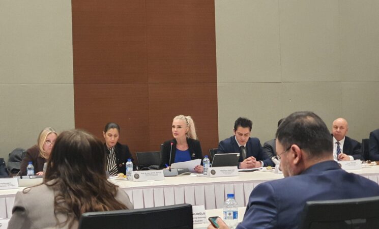 Sağlık Bakanlığı Ulusal Beslenme Konseyi (UBK) Toplantısı