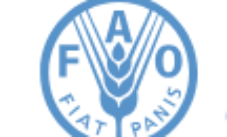 FAO- TGDF Toplantısı